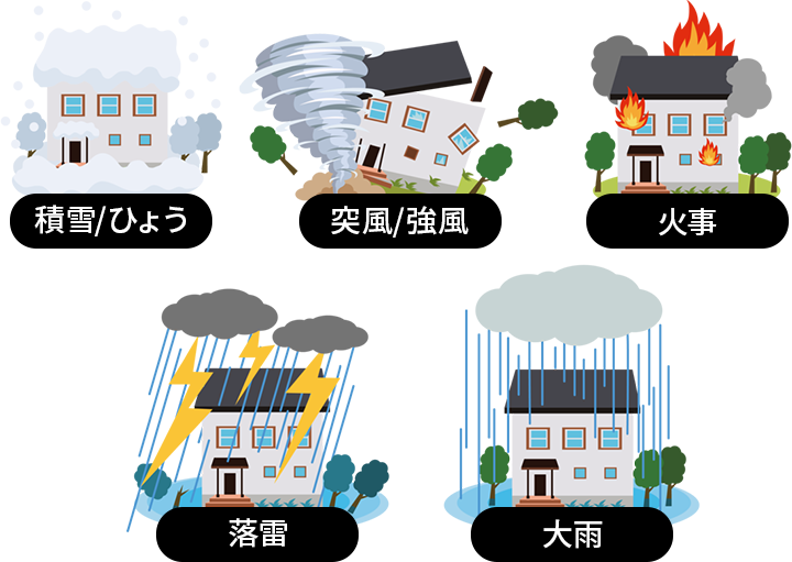 積雪/ひょう・突風/強風・火事・落雷・大雨